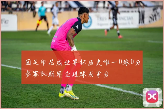 国足印尼成世界杯历史唯一0球0分参赛队新军全进球或拿分