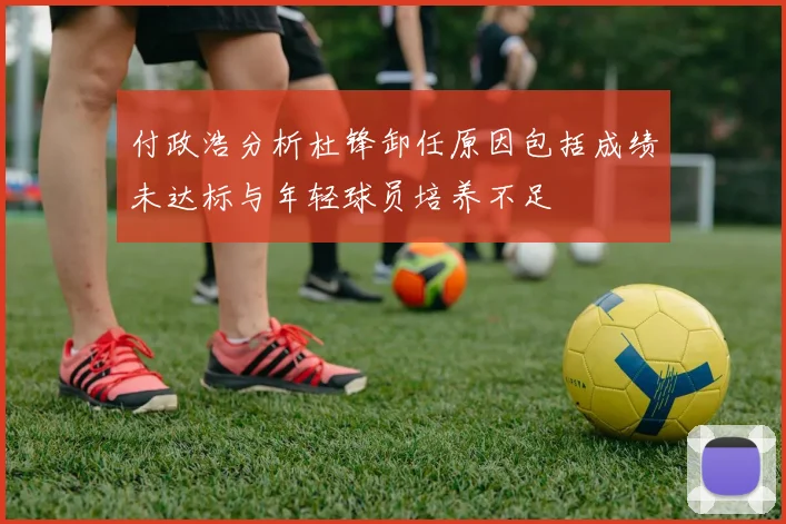 付政浩分析杜锋卸任原因包括成绩未达标与年轻球员培养不足